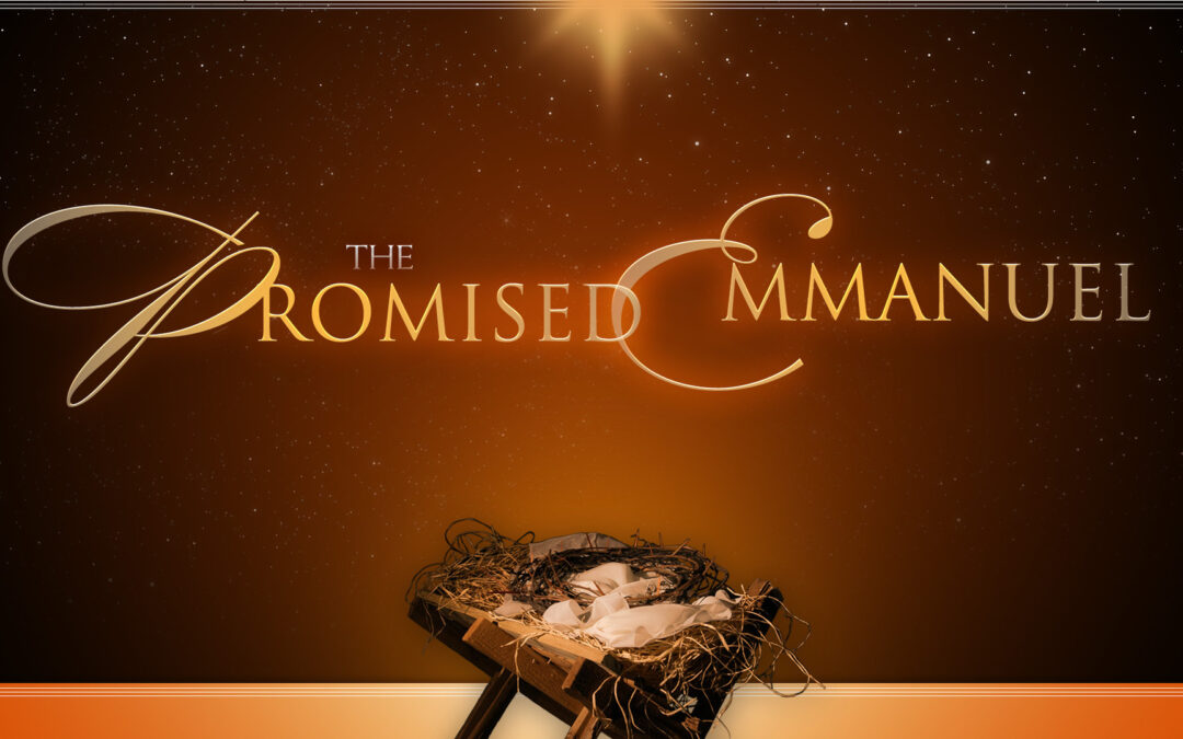 Don’t Forget… Christmas is a Promise Fulfilled!