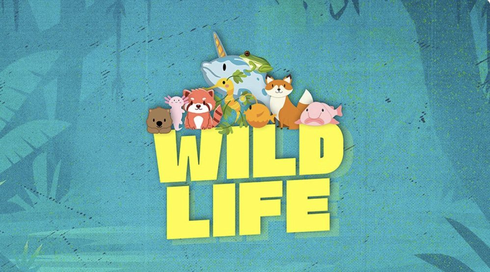 VBS